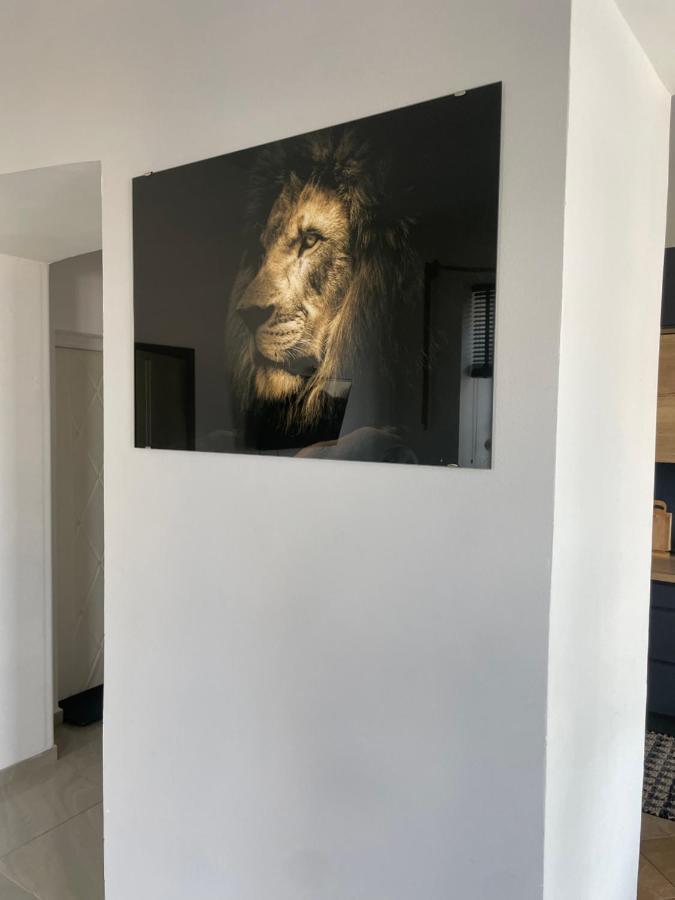 Appartamento Apartament W Centrum Przy Studni 102M2 Chełm Esterno foto
