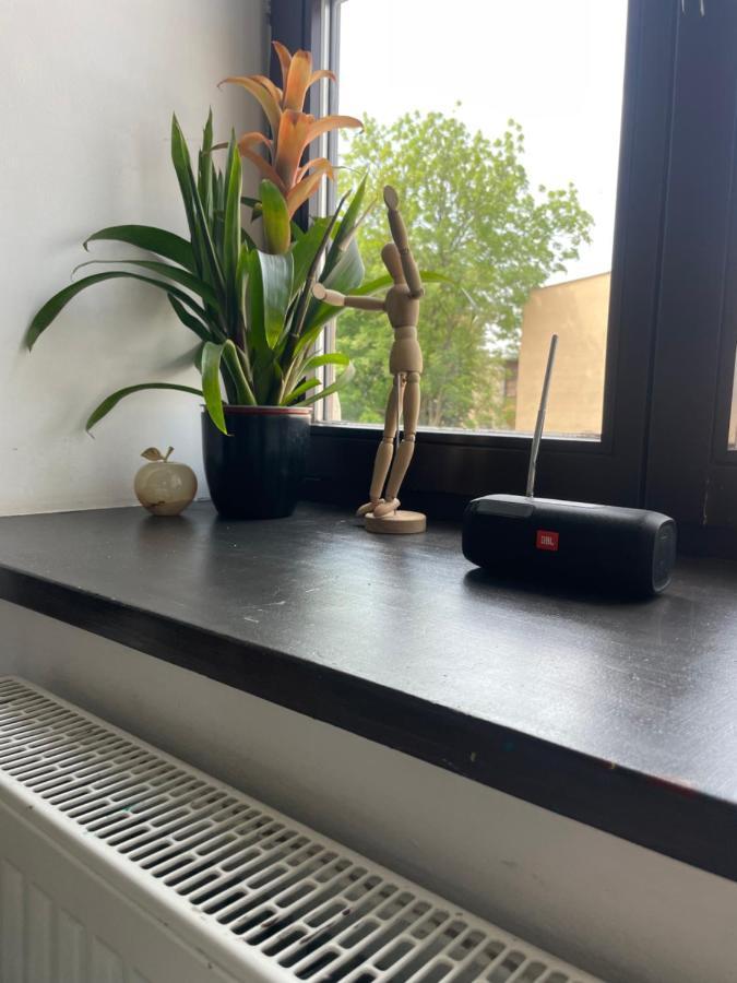 Appartamento Apartament W Centrum Przy Studni 102M2 Chełm Esterno foto